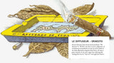 TRUDON Ernesto Difusor