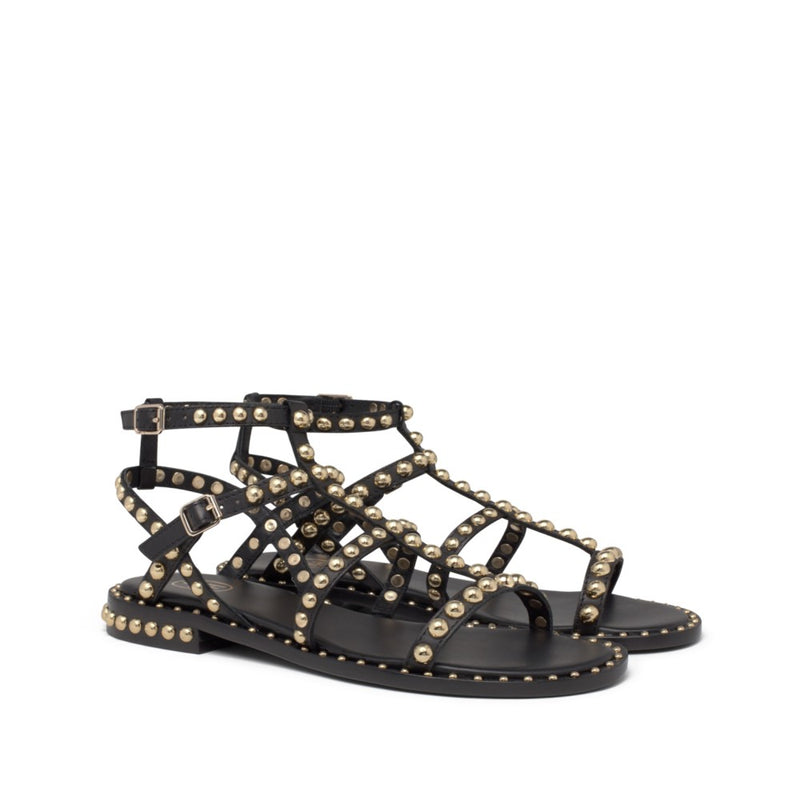 Ash Precious 04 Soft Black/Ariel Gold Studs
