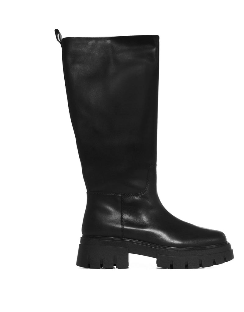 ASH Lucky Mustang Black