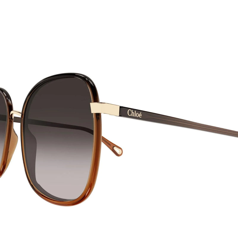 Chloé  Sunglasses